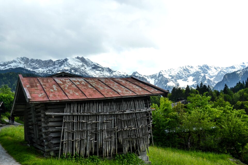 Forest hut building