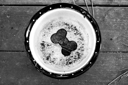 2009/265/279 Have Bowl, Need Dog