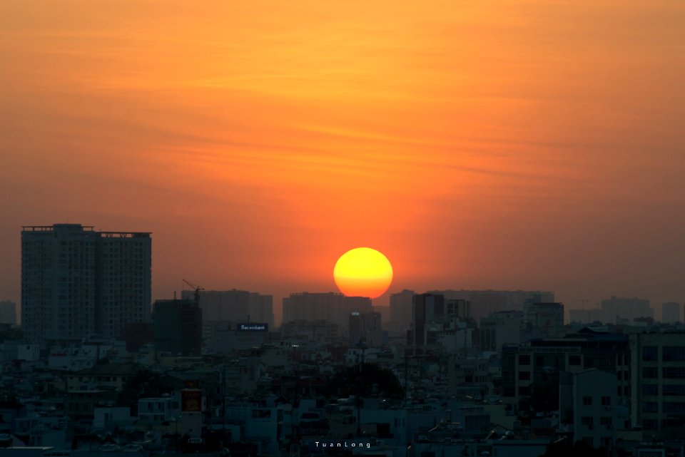 DSC 7655