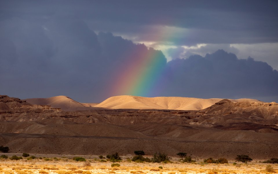 Rainbow over the desert