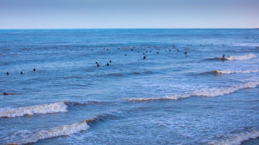 48 surfers of TLV photo