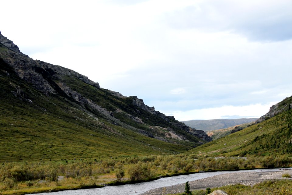 Denali National Park 29
