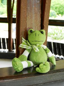 Green plush pet photo