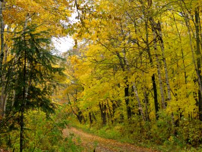 20181009-FS-Superior-SAR-008