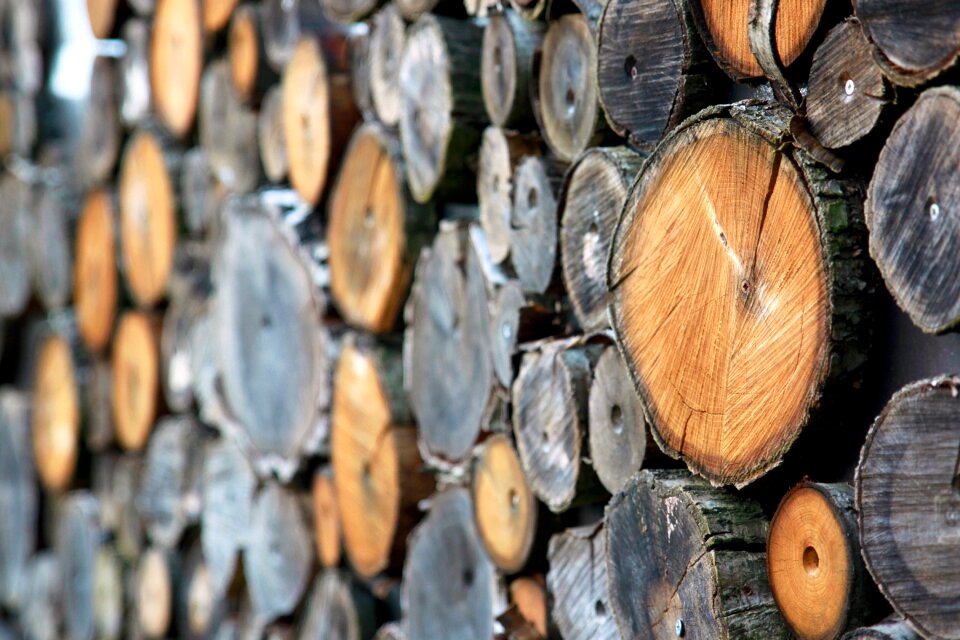 Firewood log timber