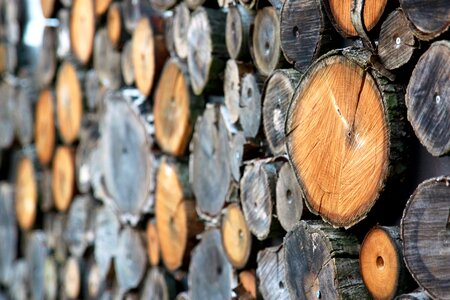 Firewood log timber photo