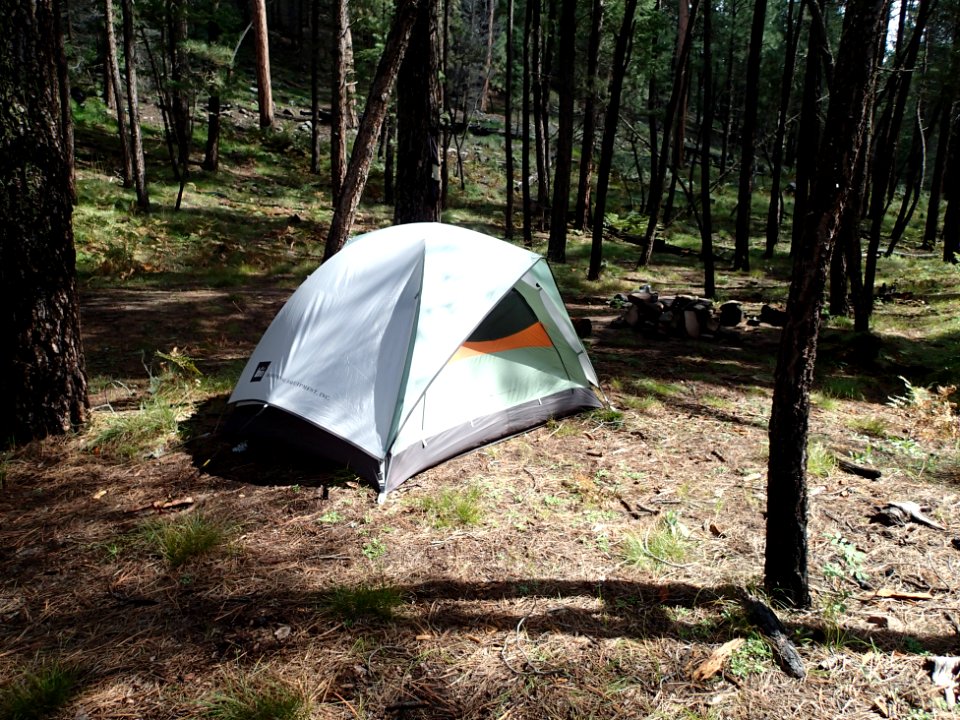 Home for The Evening