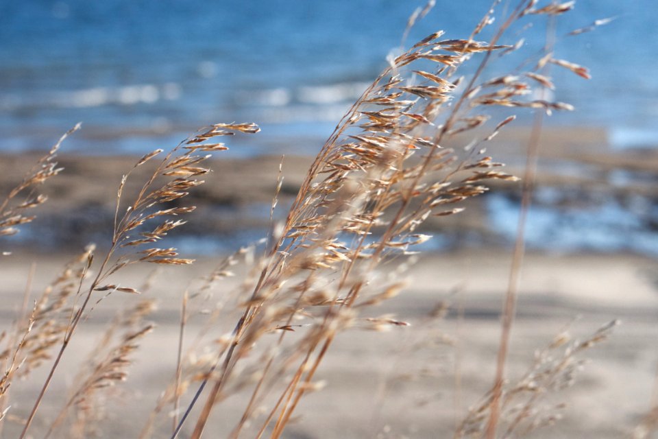 Any Way The Wind Blows