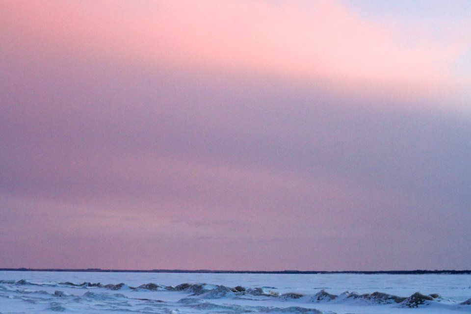 The Pinks at the End of Day