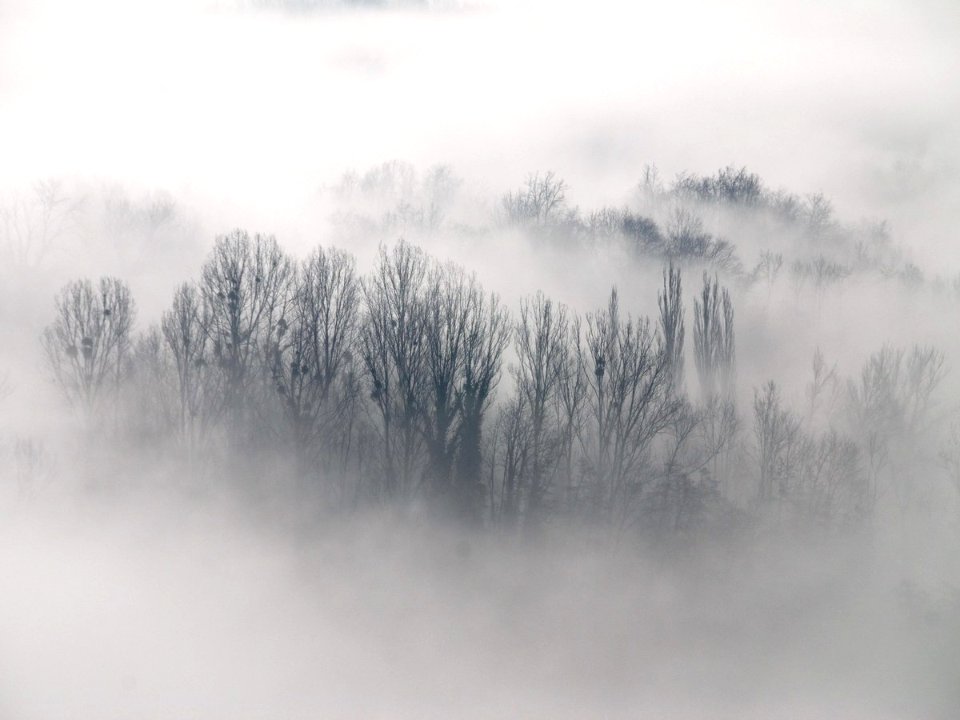 mist-day photo