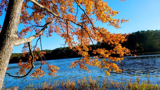 Daingerfield State Park