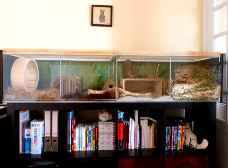 Redecorated