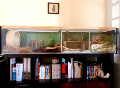Redecorated