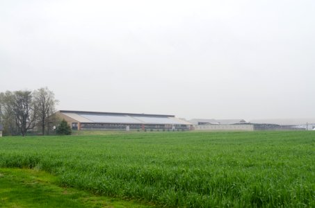 20110419-RD-LSC-0234