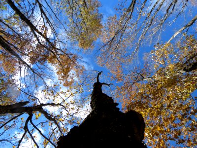 20181017-FS-Superior-SAR-014