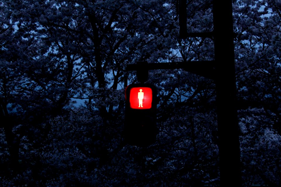 Waiting for the green light