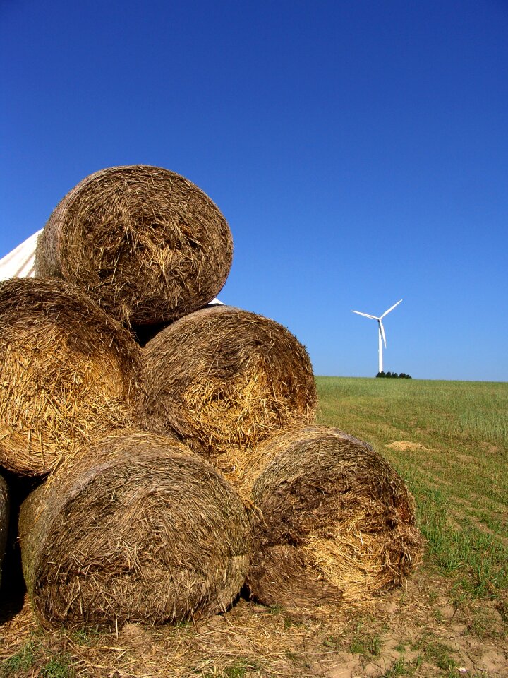 Pinwheel field straw bales