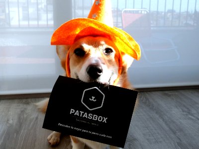 Halloween Sepcial Patasbox