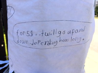 Flexible Pricing Strategy
