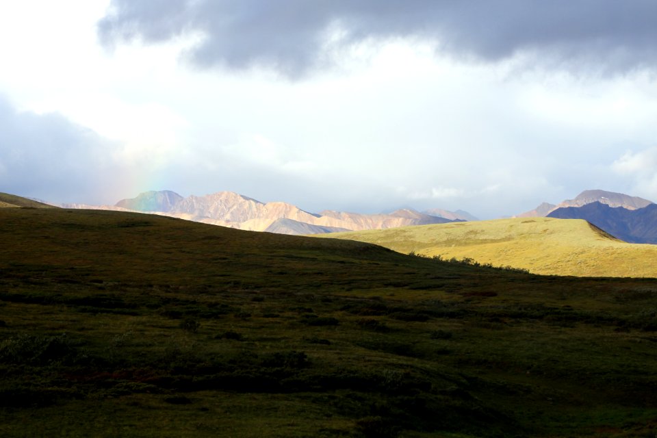 Denali National Park 14