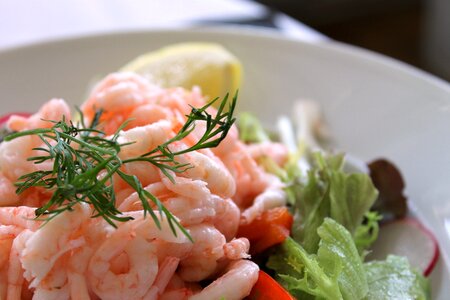 Shrimp salad today's lunch shrimp photo