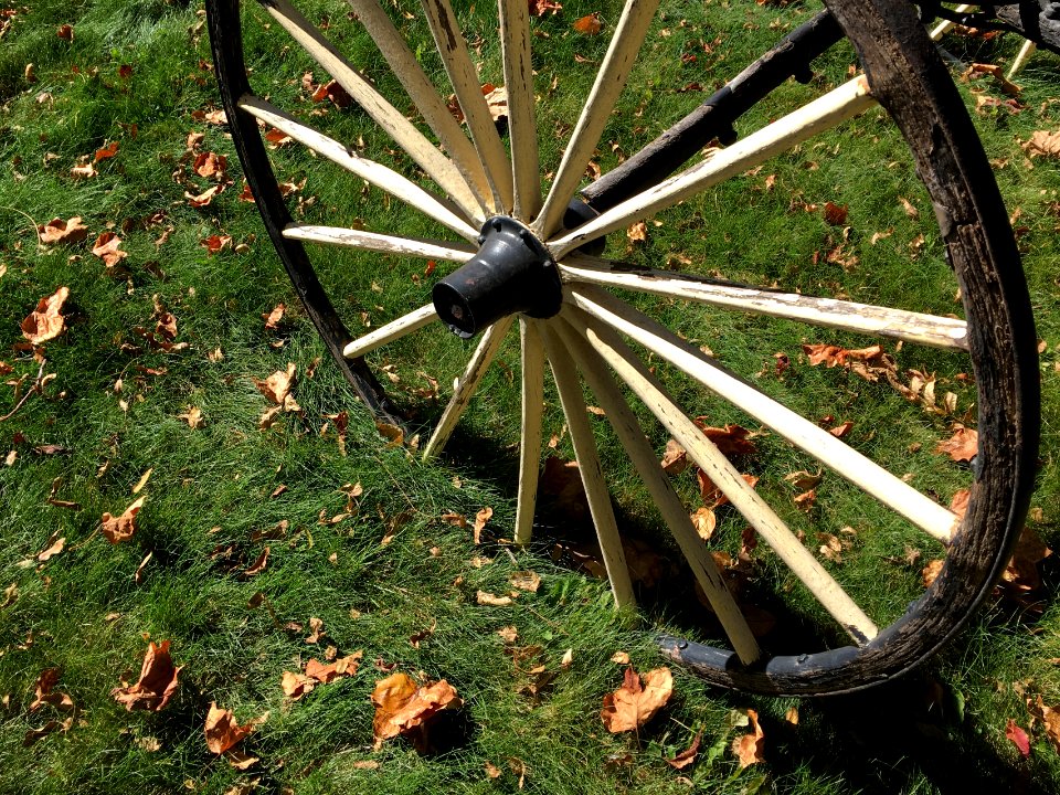 Wagon Wheel in the Grass