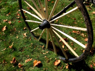 Wagon Wheel in the Grass photo