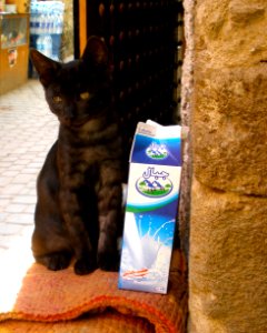 "Thanks for the milk!"