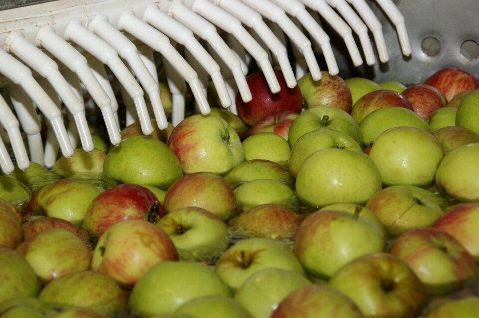 Fruit fruits food