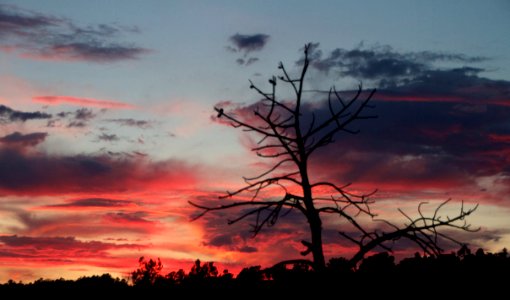 Arizona Sky Witness