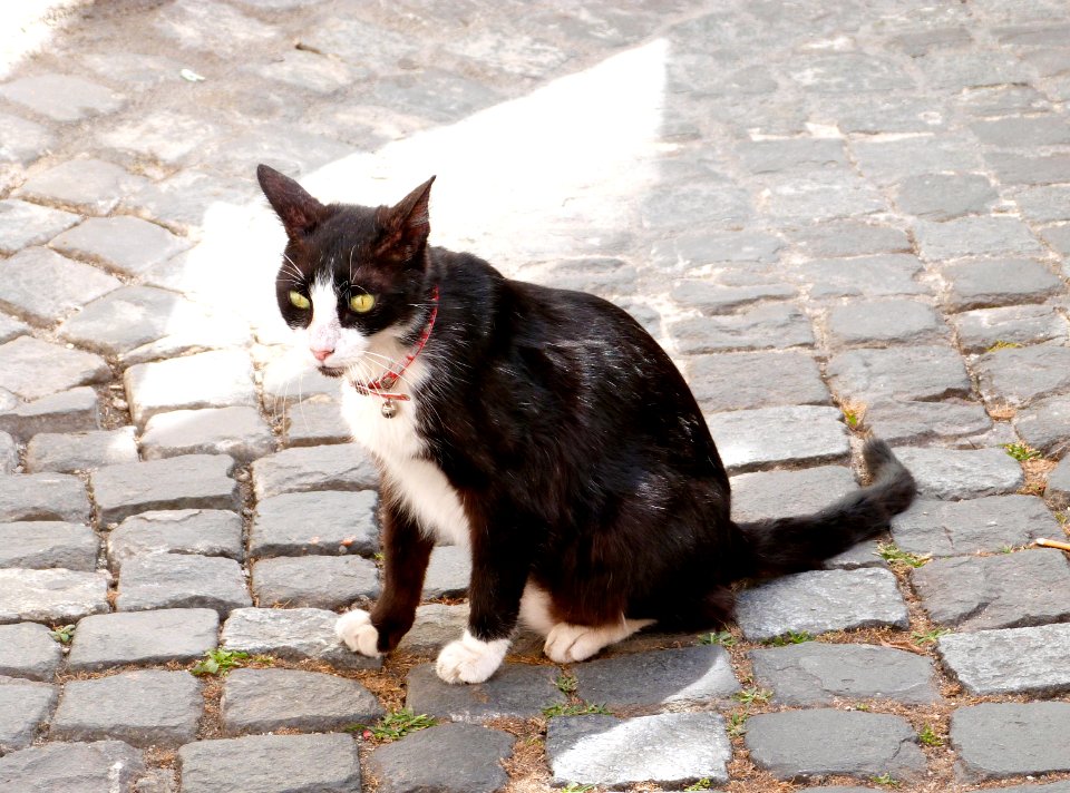 Lisboa (august 2013)