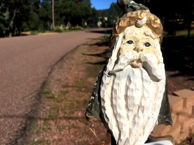 Gnomes On the Streets of Strawberry