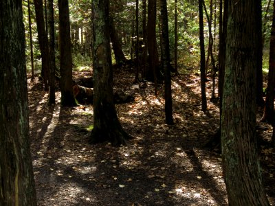 171004-FS-Superior-SAR-darkwoodland
