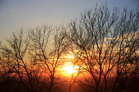 Setting sun abendstimmung nature photo