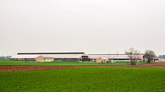 20110419-RD-LSC-0905