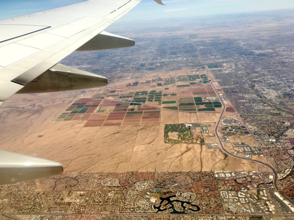 The Lines of Scottsdale