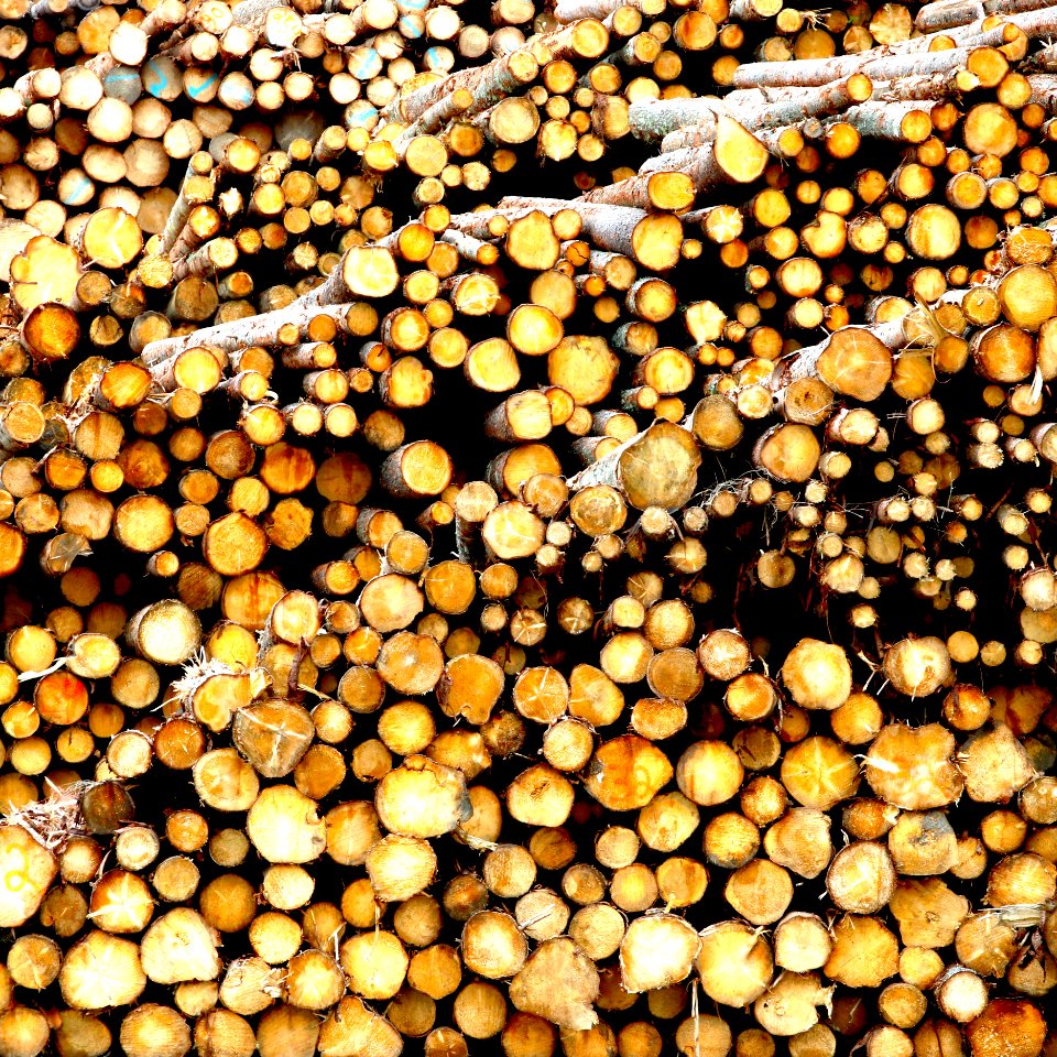 Logs