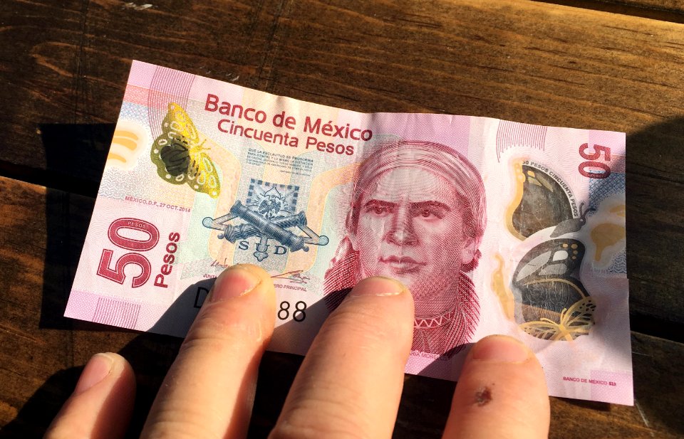 Butterflies on the 50 peso Bill