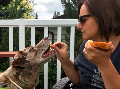 She Shares Bagels