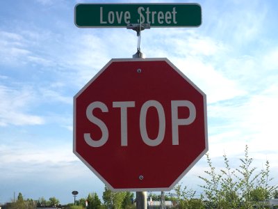 No Stopping Love photo