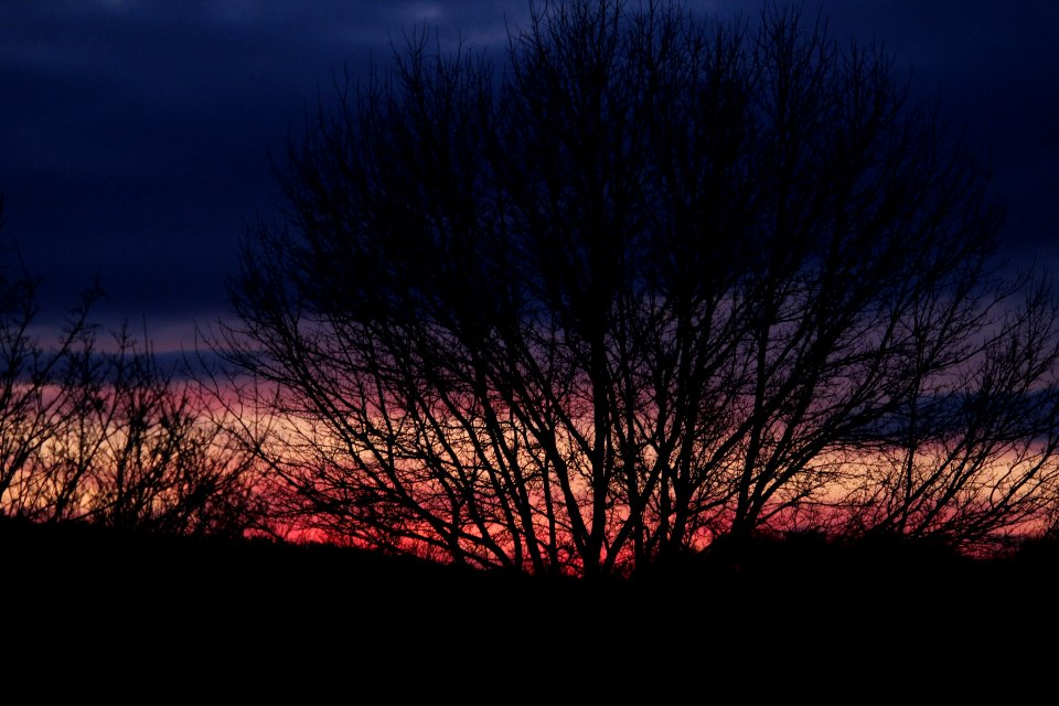Saturday, January Sunset 1/16