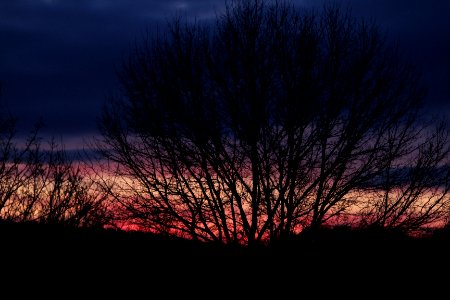 Saturday, January Sunset 1/16