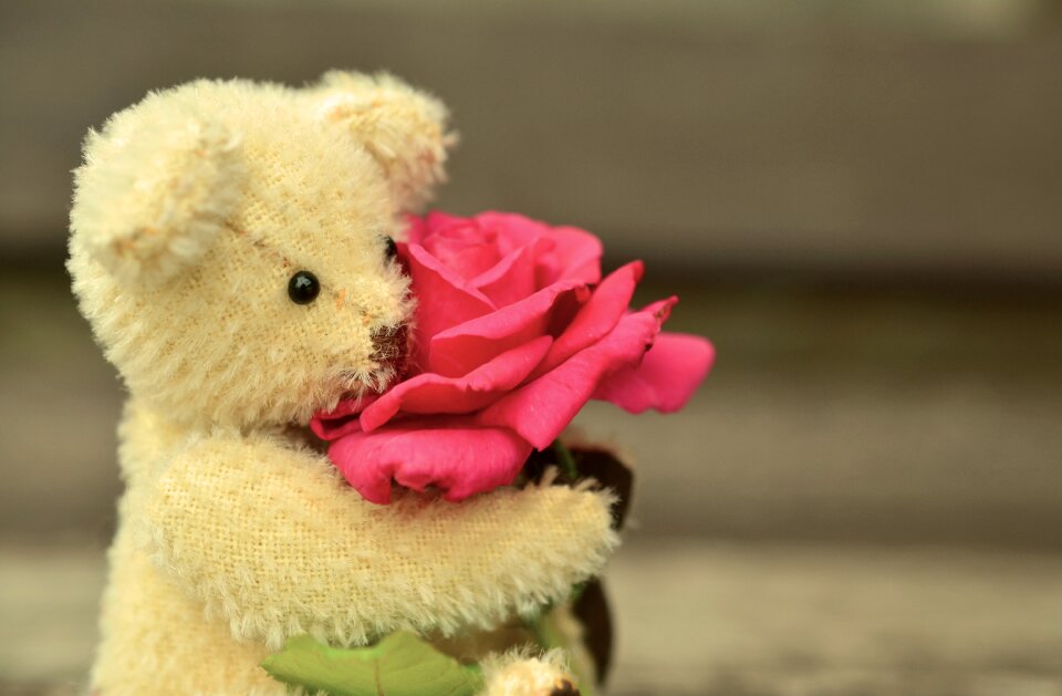 Love greeting card romance