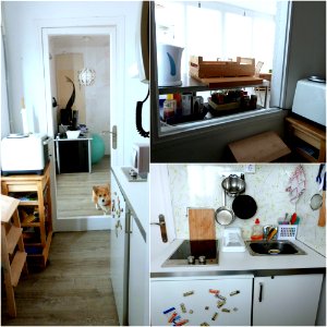 Appartement tour: Entry/kitchen (+ corgi)