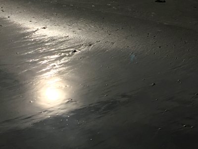Sun On the Beach