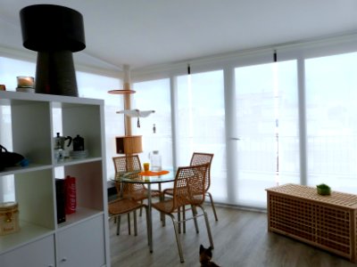 Appartement tour: Veranda/living room (+ cat) photo