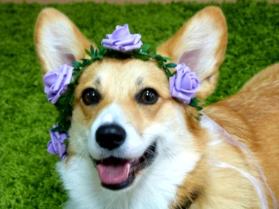 Spring themed photoshoot in the office