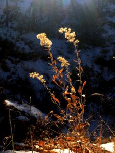 On the Edge of Light