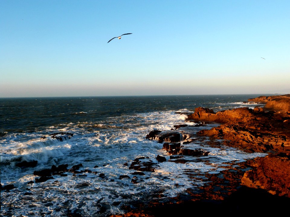 Essaouira by the sea