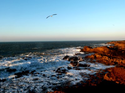 Essaouira by the sea photo